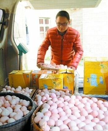 研究生变“鸡蛋哥”每天卖2万枚土鸡蛋